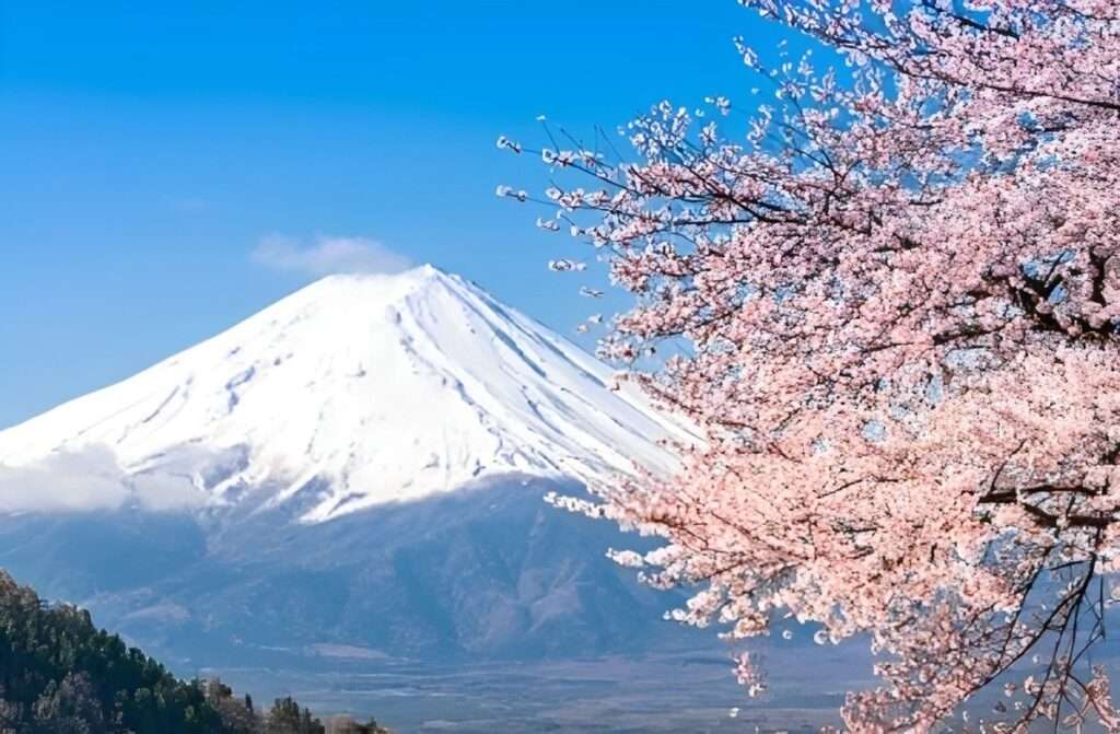 7 Incredible Places in Japan to visit this year 5 Mt. Fuji