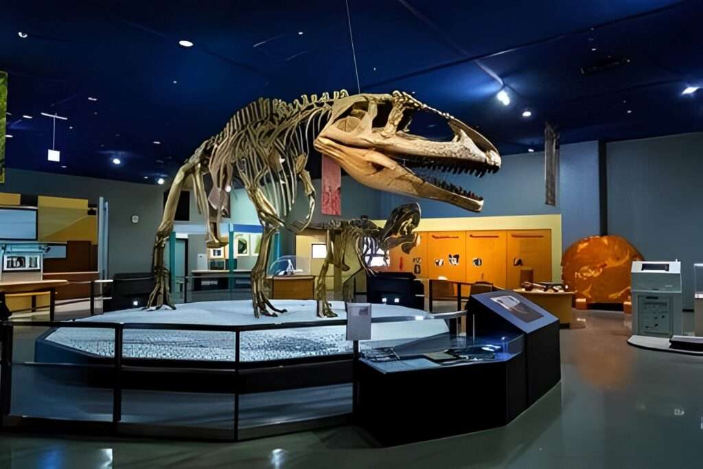 What are Best 5 Places to Visit in Los Angeles Now? 4 The Museum of Jurassic Technology LA