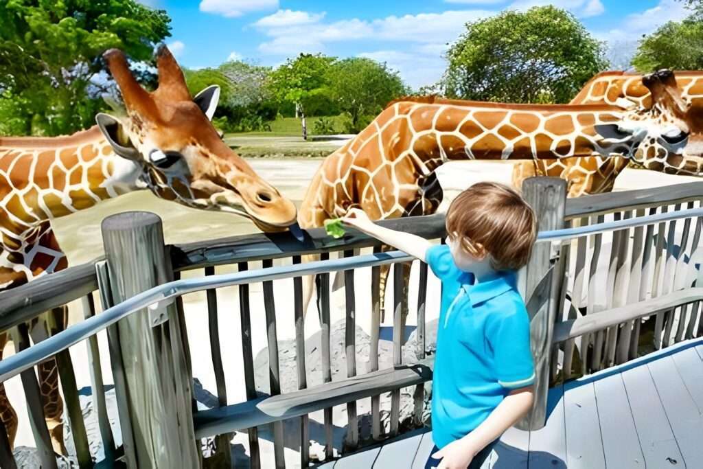 Top 5 Affordable Places to Visit in Miami Now! 1 places to visit in miami