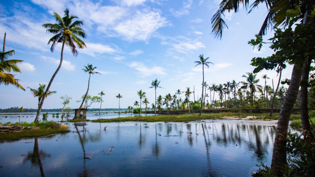 10 Best Things to do in Cochin, Kerala : Exploring Marines Drive and Beyond Check Now 1 things to do in cochin