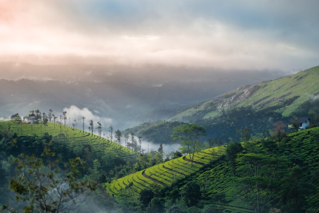 Things to do in Munnar: Best Munnar itinerary 2023 VISIT NOW 1 things to do in munnar