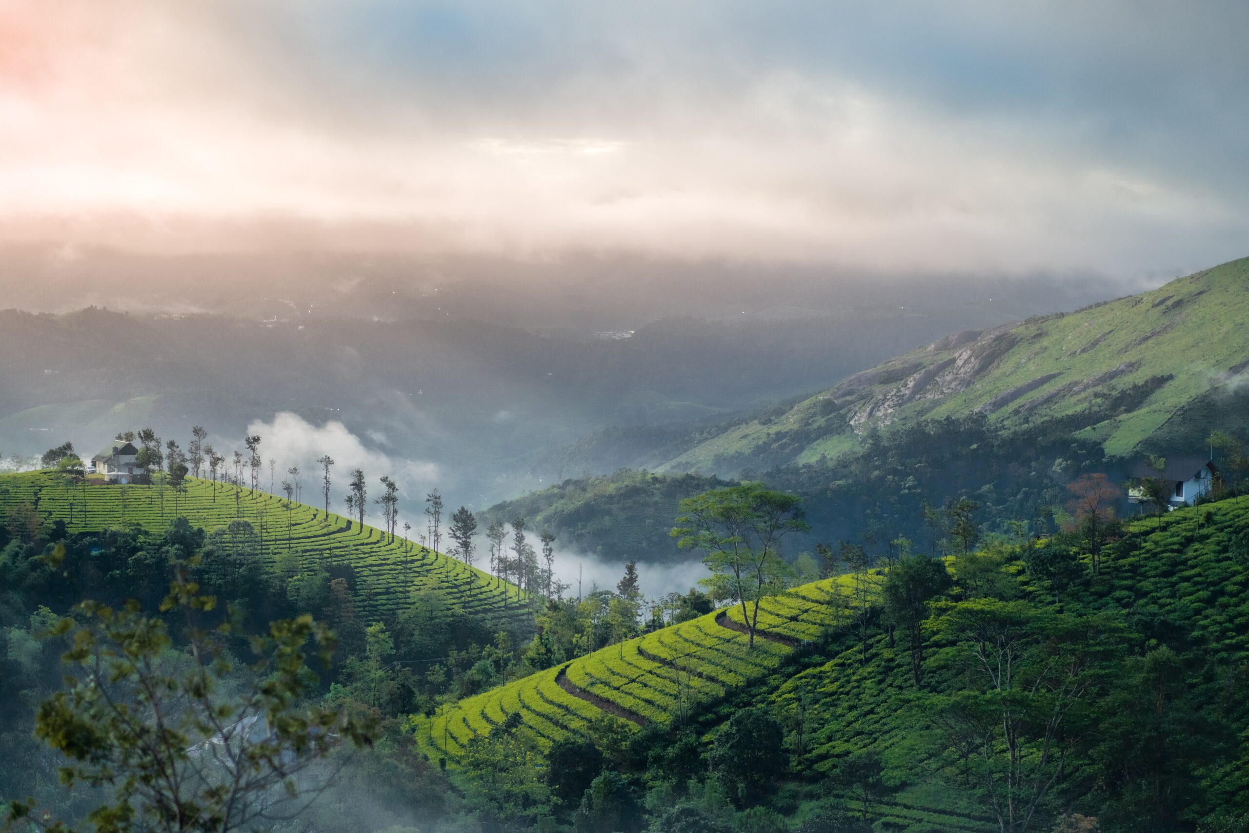 Things to do in Munnar: Best Munnar itinerary 2023 VISIT NOW 1 things to do in munnar
