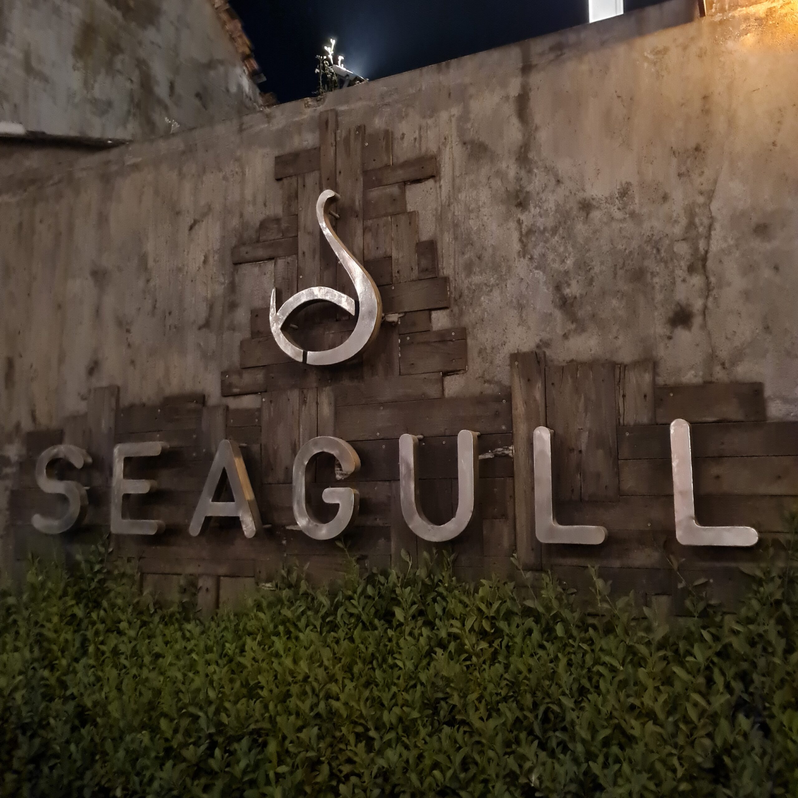 10 Best Things to do in Cochin, Kerala : Exploring Marines Drive and Beyond Check Now 9 seagull scaled
