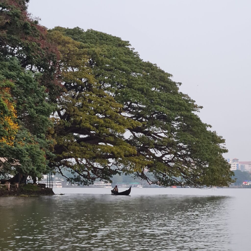 10 Best Things to do in Cochin, Kerala : Exploring Marines Drive and Beyond Check Now 17 Cochin